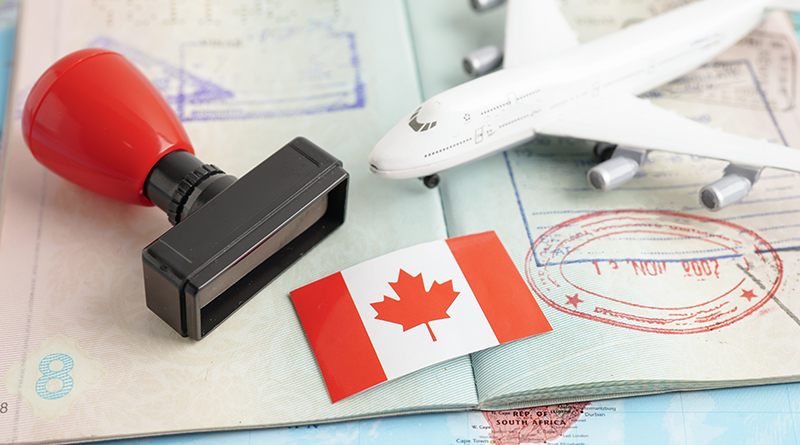 Uluslararası taşınmada güvenli paketleme ve uzman ekip desteği